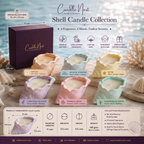 Shell Candle Collection