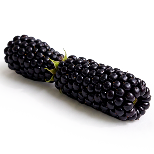 Heritage Bowl Candle - Blackberry