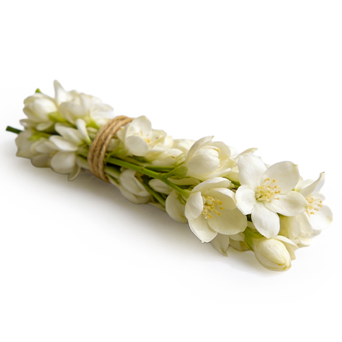 Forest Essence - Ethereal Jasmine