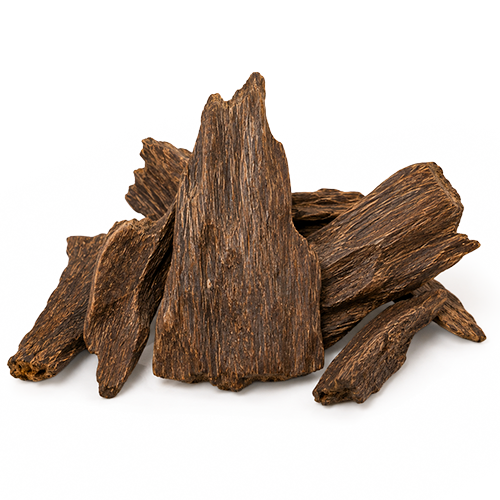 Oudh Royale