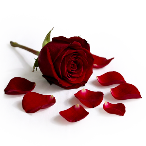 Crystal Radiance Candle - Imperial Rose