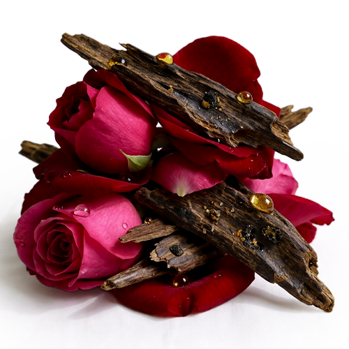 Forest Essence - Rose Oudh