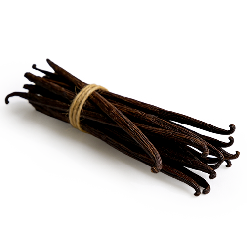 Forest Essence - Velvety Vanilla