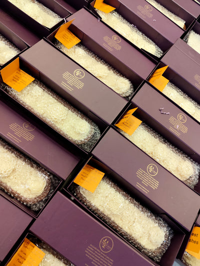Brand Launches & PR Kits